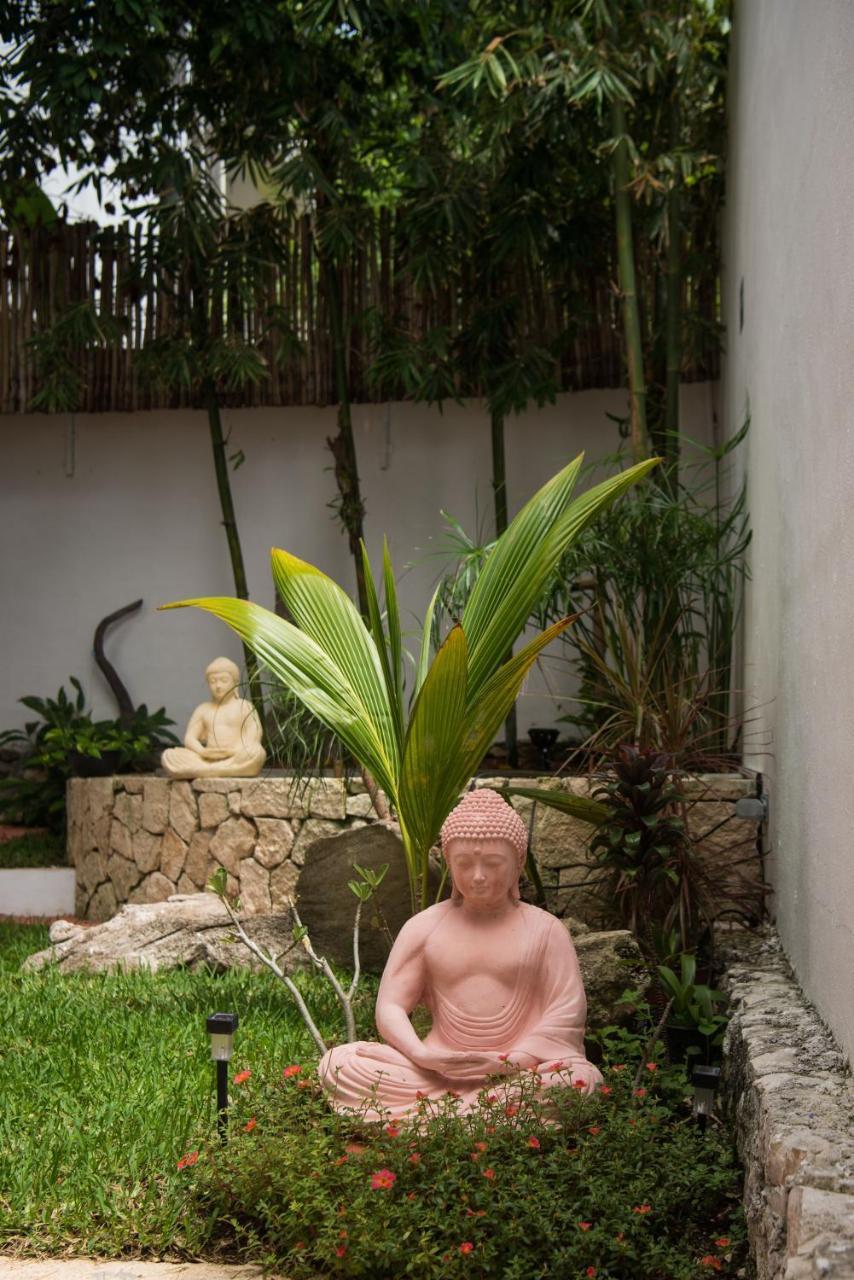 بلايا ديل كارمن Ocean Zen Suites On 5Th Avenue - Adults Only المظهر الخارجي الصورة
